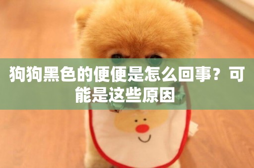 狗狗黑色的便便是怎么回事？可能是這些原因 
