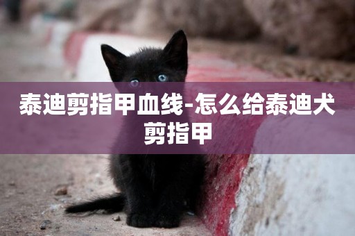 泰迪剪指甲血線-怎么給泰迪犬剪指甲