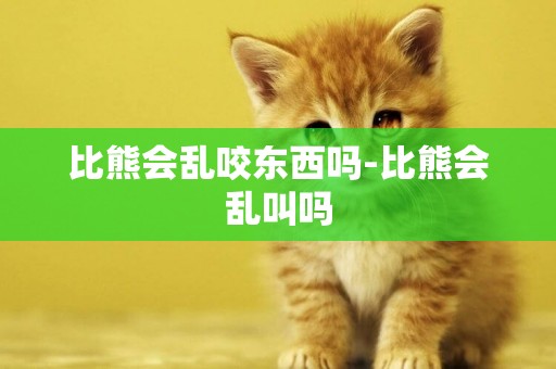 比熊會亂咬東西嗎-比熊會亂叫嗎