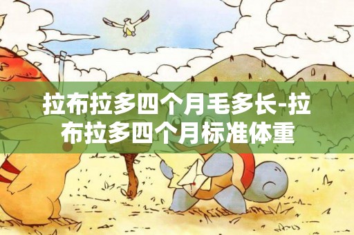 拉布拉多四個月毛多長-拉布拉多四個月標準體重