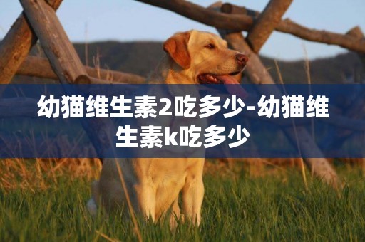幼貓維生素2吃多少-幼貓維生素k吃多少