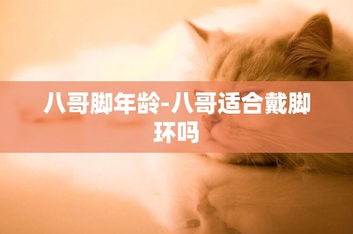 八哥腳年齡-八哥適合戴腳環嗎