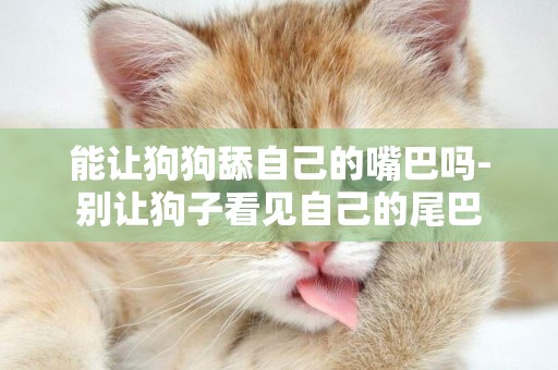 能讓狗狗舔自己的嘴巴嗎-別讓狗子看見自己的尾巴
