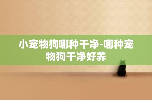 小寵物狗哪種干凈-哪種寵物狗干凈好養