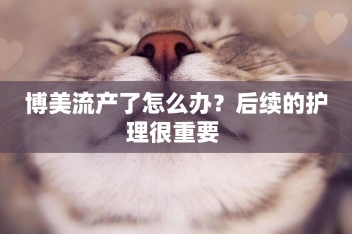 博美流產了怎么辦？后續的護理很重要 