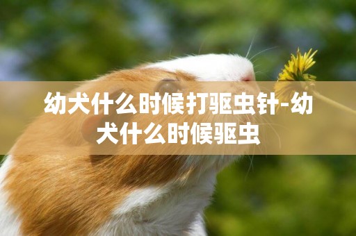 幼犬什么時候打驅蟲針-幼犬什么時候驅蟲
