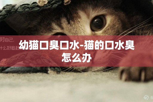 幼貓口臭口水-貓的口水臭怎么辦