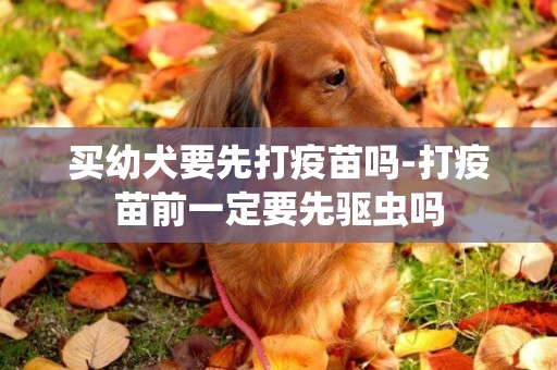 買幼犬要先打疫苗嗎-打疫苗前一定要先驅蟲嗎