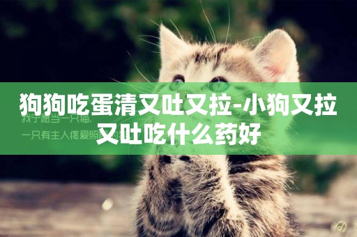 狗狗吃蛋清又吐又拉-小狗又拉又吐吃什么藥好