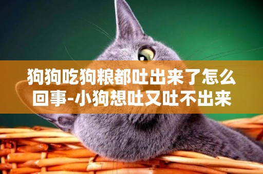 狗狗吃狗糧都吐出來了怎么回事-小狗想吐又吐不出來怎么回事