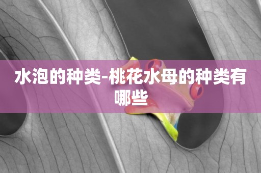 水泡的種類-桃花水母的種類有哪些