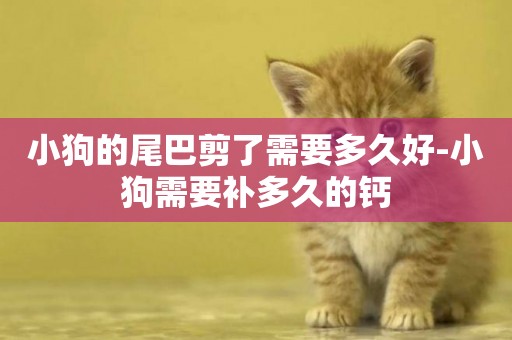 小狗的尾巴剪了需要多久好-小狗需要補多久的鈣