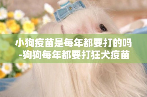 小狗疫苗是每年都要打的嗎-狗狗每年都要打狂犬疫苗嗎