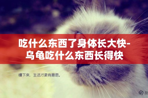 吃什么東西了身體長大快-烏龜吃什么東西長得快