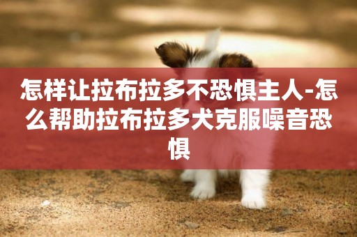 怎樣讓拉布拉多不恐懼主人-怎么幫助拉布拉多犬克服噪音恐懼