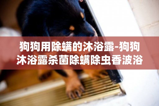 狗狗用除螨的沐浴露-狗狗沐浴露殺菌除螨除蟲香波浴液