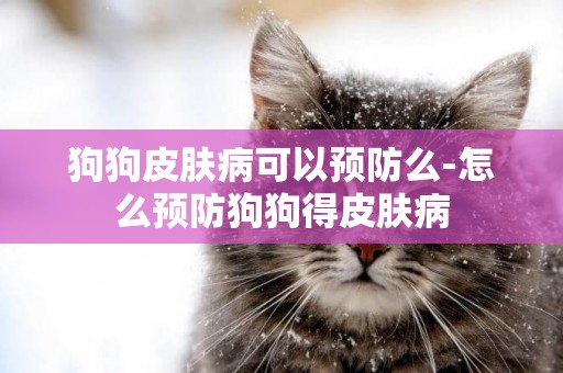 狗狗皮膚病可以預防么-怎么預防狗狗得皮膚病