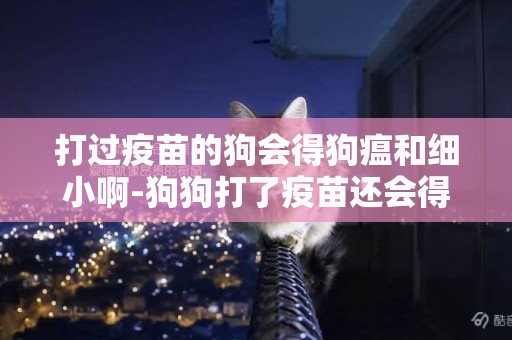 打過疫苗的狗會得狗瘟和細小啊-狗狗打了疫苗還會得細小犬瘟這樣的疾病嗎