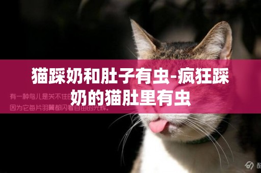 貓踩奶和肚子有蟲-瘋狂踩奶的貓肚里有蟲