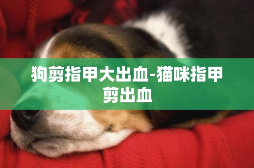 狗剪指甲大出血-貓咪指甲剪出血