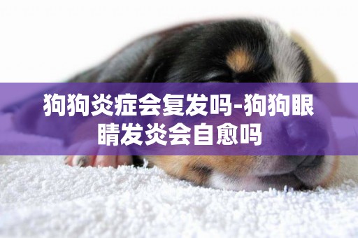 狗狗炎癥會復發嗎-狗狗眼睛發炎會自愈嗎