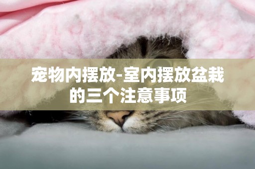 寵物內擺放-室內擺放盆栽的三個注意事項