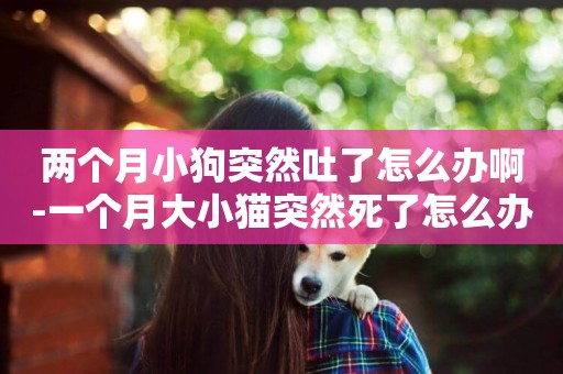 兩個月小狗突然吐了怎么辦啊-一個月大小貓突然死了怎么辦