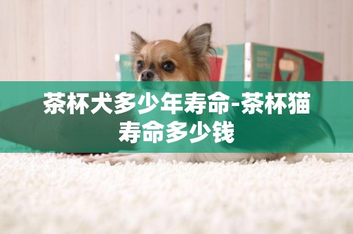 茶杯犬多少年壽命-茶杯貓壽命多少錢