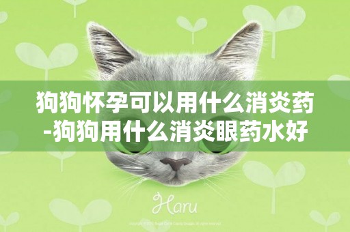 狗狗懷孕可以用什么消炎藥-狗狗用什么消炎眼藥水好