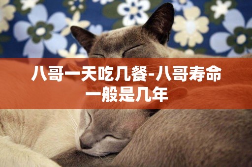 八哥一天吃幾餐-八哥壽命一般是幾年