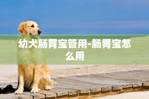 幼犬腸胃寶管用-腸胃寶怎么用