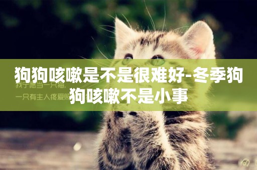 狗狗咳嗽是不是很難好-冬季狗狗咳嗽不是小事
