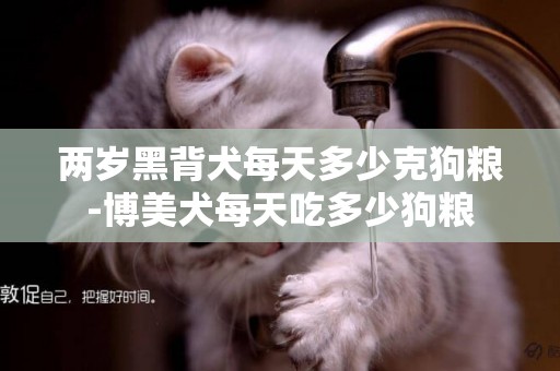兩歲黑背犬每天多少克狗糧-博美犬每天吃多少狗糧