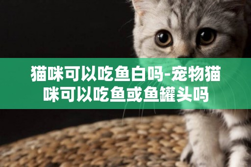 貓咪可以吃魚白嗎-寵物貓咪可以吃魚或魚罐頭嗎