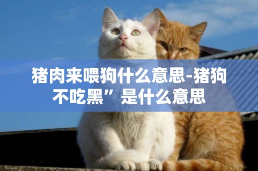 豬肉來喂狗什么意思-豬狗不吃黑”是什么意思