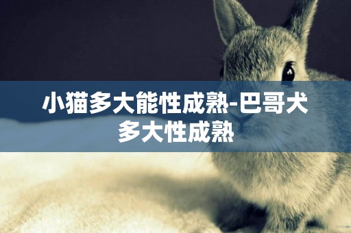 小貓多大能性成熟-巴哥犬多大性成熟