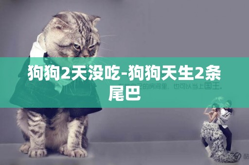 狗狗2天沒吃-狗狗天生2條尾巴