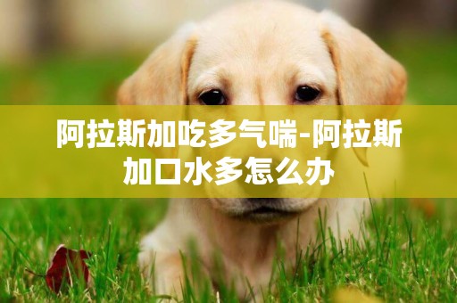 阿拉斯加吃多氣喘-阿拉斯加口水多怎么辦