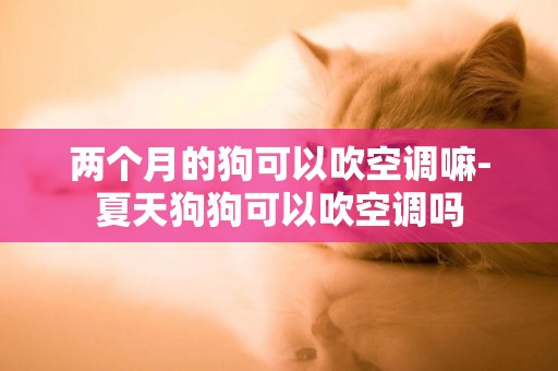 兩個月的狗可以吹空調嘛-夏天狗狗可以吹空調嗎