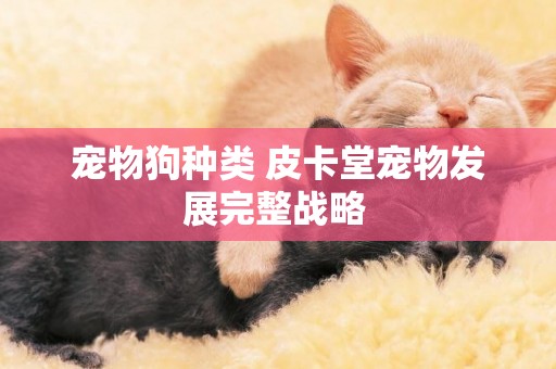 寵物狗種類 皮卡堂寵物發展完整戰略 