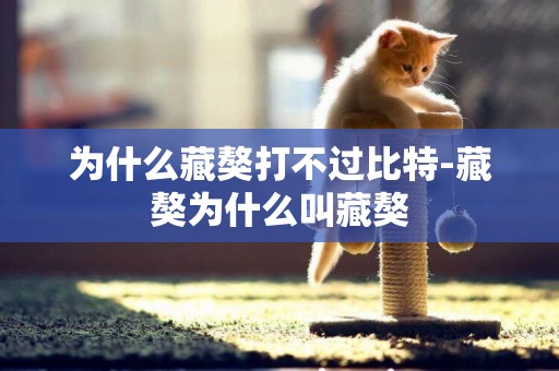 為什么藏獒打不過比特-藏獒為什么叫藏獒