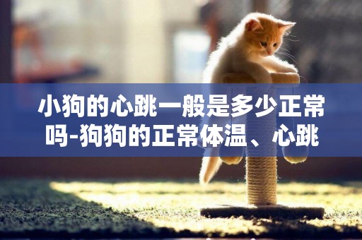 小狗的心跳一般是多少正常嗎-狗狗的正常體溫、心跳和呼吸是多少