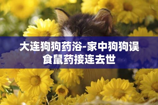 大連狗狗藥浴-家中狗狗誤食鼠藥接連去世