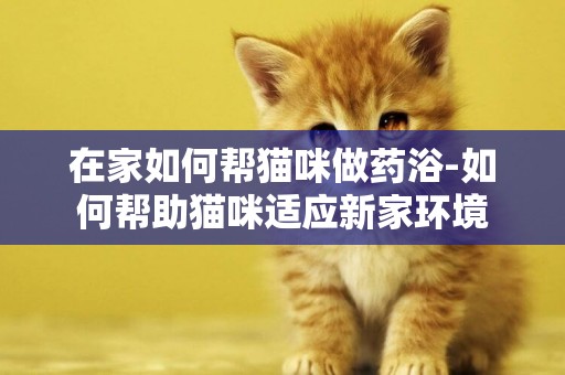 在家如何幫貓咪做藥浴-如何幫助貓咪適應新家環境