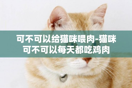 可不可以給貓咪喂肉-貓咪可不可以每天都吃雞肉