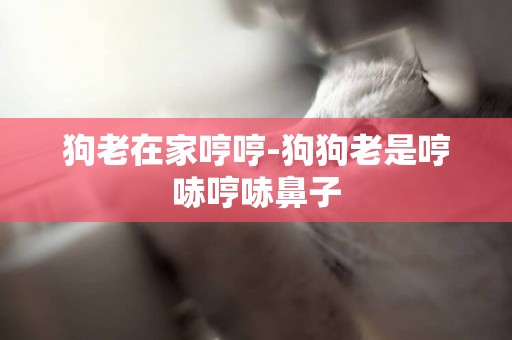 狗老在家哼哼-狗狗老是哼哧哼哧鼻子