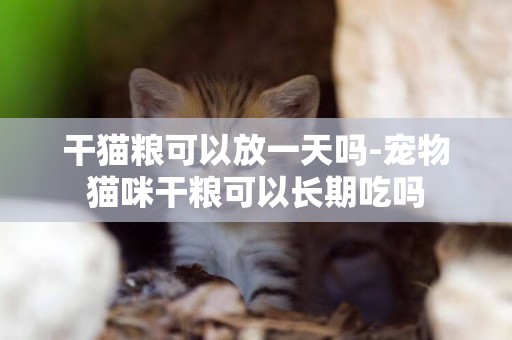 干貓糧可以放一天嗎-寵物貓咪干糧可以長期吃嗎