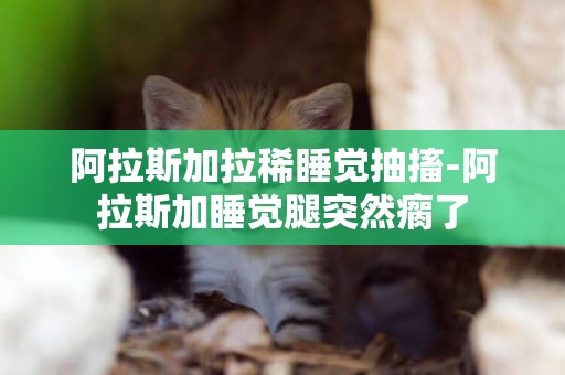 阿拉斯加拉稀睡覺抽搐-阿拉斯加睡覺腿突然瘸了
