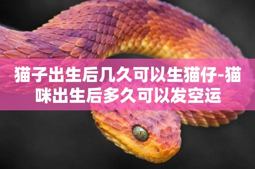 貓子出生后幾久可以生貓仔-貓咪出生后多久可以發空運