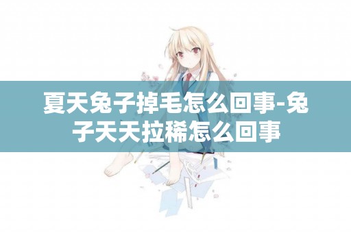 夏天兔子掉毛怎么回事-兔子天天拉稀怎么回事